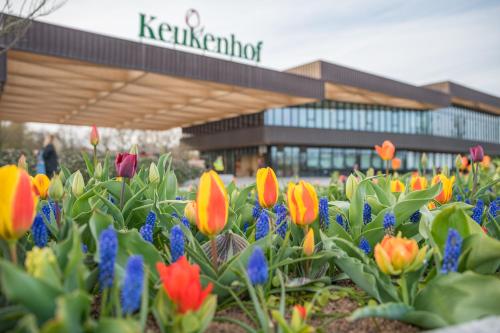 a display of colorful flowers in front of a building at Luxe appartement dichtbij strand en zee, in het hart van de bollenstreek in Noordwijkerhout