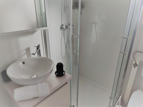 Koupelna v ubytování Mobile Home Limona