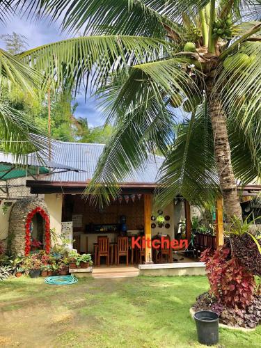 a house with a palm tree in front of it at AMK traveller's hub in Maite