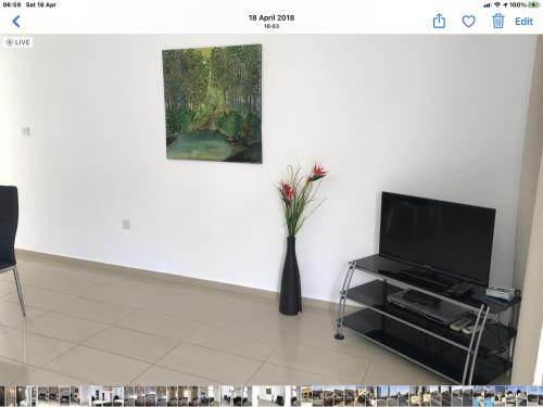 a living room with a tv and a vase with flowers at Villa Nissi Beach 28 in Ayia Napa