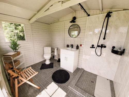 a bathroom with a shower with a toilet and a sink at Guest house Laimes taure in Vabole