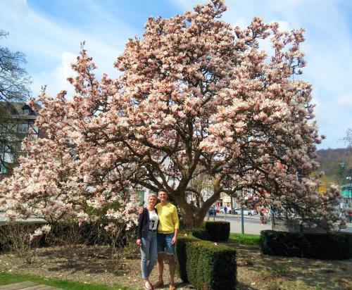 a couple standing in front of a magnolia tree at L'écurie gîte duplex Welness in Spa