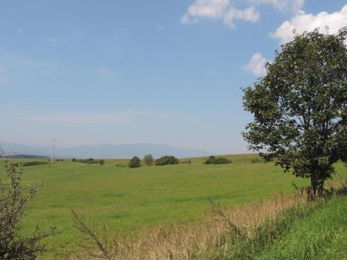 a green field with a tree in the middle at Apartmánový Dom River in Blatnica