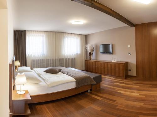 1 dormitorio con 1 cama grande y TV en Hotel Hvala Superior - Topli Val, en Kobarid