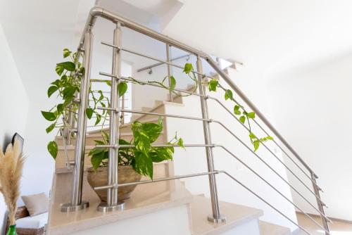 Villa Mamma Grazia Rooms في سان فيتو دي نورماني: درابزين الدرج المعدني مع وجود النباتات في وعاء