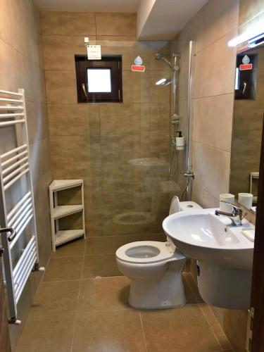 a bathroom with a toilet and a sink at Hotel Margaritar in Buşteni