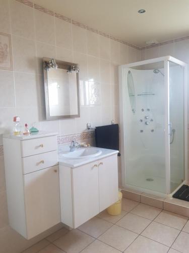 a white bathroom with a sink and a shower at Grande maison familiale in Serres-Gaston