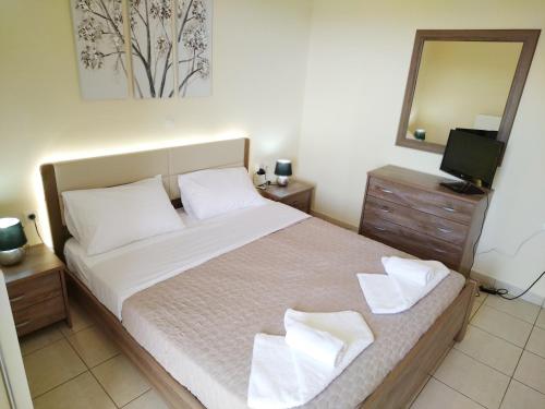 - une chambre avec un lit avec un miroir et une télévision dans l'établissement Holiday & Business Furnished Apartments, à Mitikas