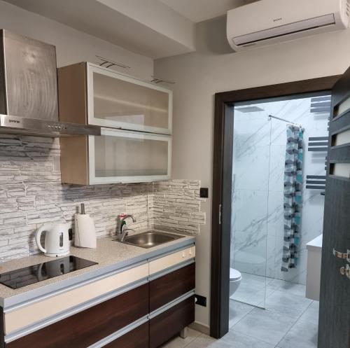 a kitchen with a sink and a shower at Noclegi 24/h Leszczynek in Kutno