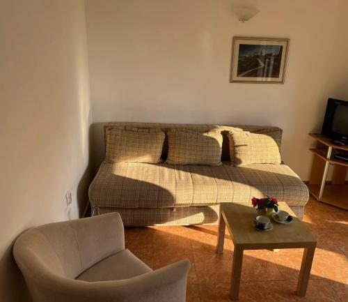 una sala de estar con un sofá y una silla en Apartments and Room MV, en Petrovac na Moru