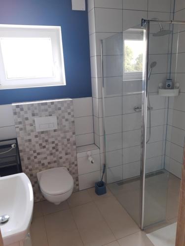 W łazience znajduje się toaleta i przeszklony prysznic. w obiekcie Lazurowe Apartamenty w mieście Niechorze