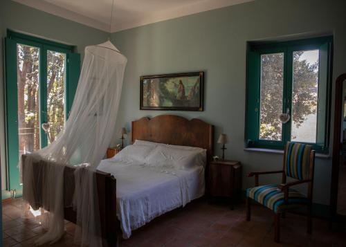 a bedroom with a bed with a mosquito net at Agriturismo Petrara in Simeri