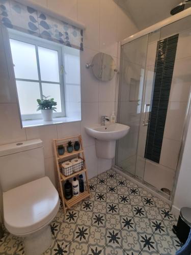 a bathroom with a toilet and a sink and a shower at Cosy peaceful one-bedroom cottage in Pitlochry in Pitlochry