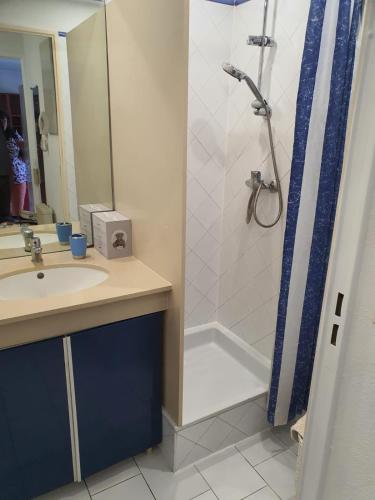 une salle de bain avec une douche et un lavabo et un lavabo dans l'établissement Résidence Les Mers du Sud Port Argelès, à Argelès-sur-Mer