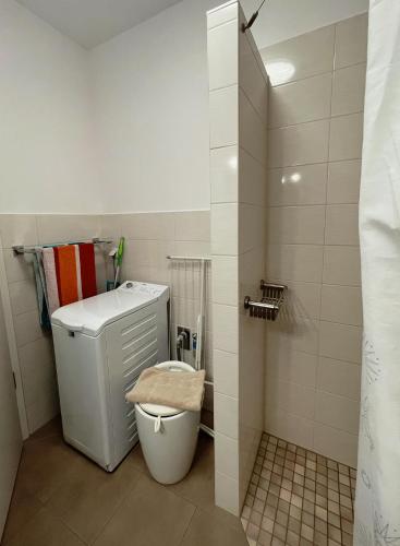 uma pequena casa de banho com WC e chuveiro em Ferienwohnung Apfelrose em Trent