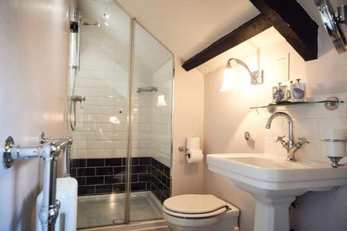 a bathroom with a shower and a toilet and a sink at The Brown's Hotel in Laugharne