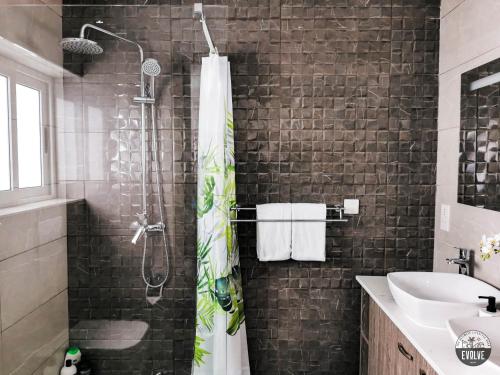 斯利馬的住宿－Evolve Coliving Guesthouse，带淋浴和盥洗盆的浴室