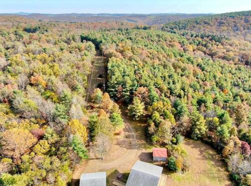 an overhead view of a forest of trees with a train at Lodges at Buffalo Mountain- 168 private acres in Floyd