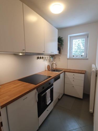 Dapur atau dapur kecil di Alpine Apartments St-Sigmund