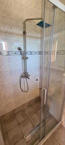 a shower with a glass door in a bathroom at Apartments Villa Marija in Gornji Karin
