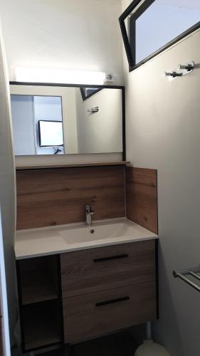 une salle de bain avec un lavabo et un miroir dans l'établissement Résidence Alpinéa Mottaret, 3 à 5pers, à Méribel