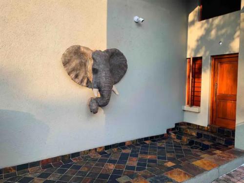 un éléphant farci suspendu sur un mur dans l'établissement Indlovu Guesthouse, à Nelspruit