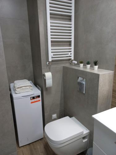 Koupelna v ubytování Apartamenty Termalne na Długiej 10