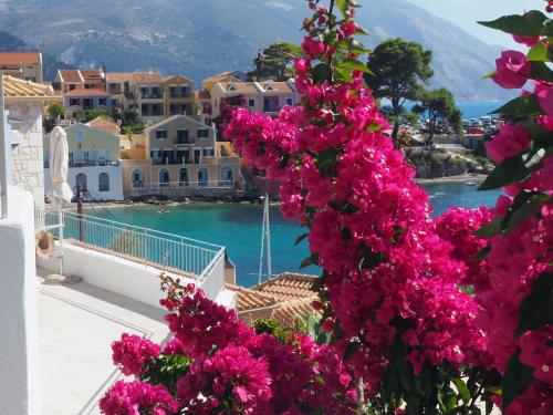 a bunch of pink flowers on the side of a balcony at AssosView in Asos