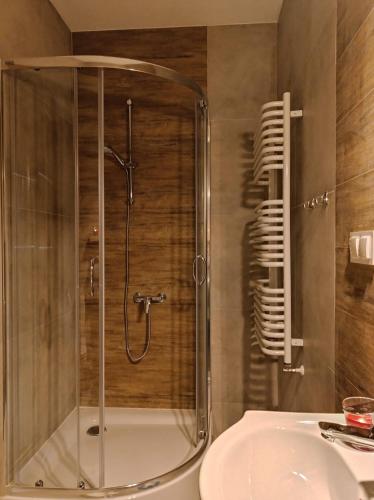 a bathroom with a shower and a sink at Agroturystyka ''Na Polanie'' in Rajcza