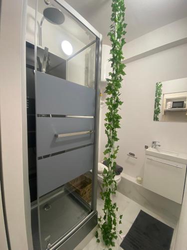 La salle de bains est pourvue d'un réfrigérateur en verre avec des plantes. dans l'établissement Studio moderne & fonctionnel, à Marseille
