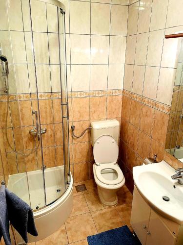 a bathroom with a shower and a toilet and a sink at Apartman Ivo, Bol in Bol