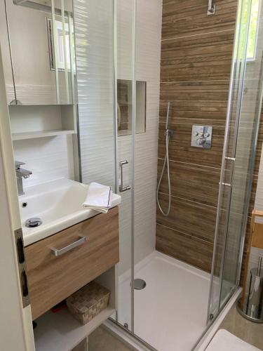 a bathroom with a shower and a sink at The House in Medulin