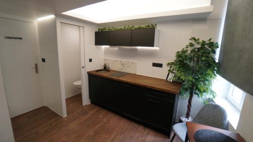 a kitchen with a counter and a plant in a room at Suite morning star in La Seyne-sur-Mer