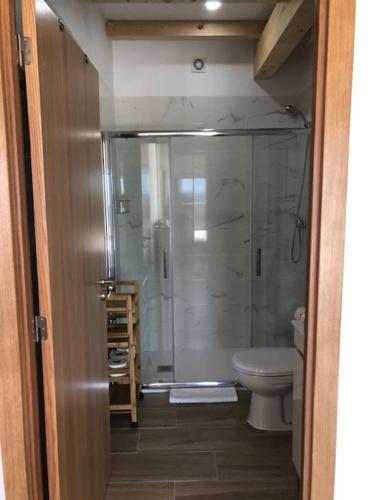 um banheiro com chuveiro e vaso sanitrio em SOLAR DA SERRA-GuestHouse em Mangualde