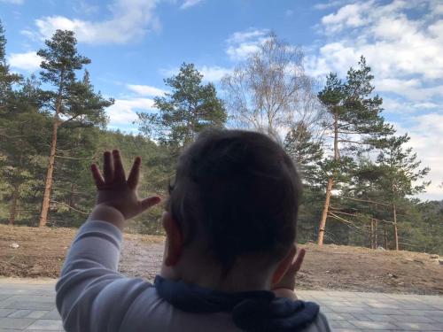 a young child is reaching up to catch a kite at Apartman SRNA, Vila JEZERO in Divčibare