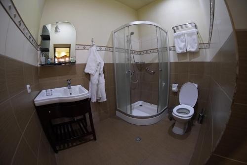 e bagno con doccia, servizi igienici e lavandino. di Armenian Village Park Hotel & FREE Water Park, GYM a Yerevan