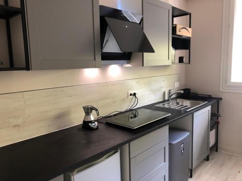 une cuisine avec un évier et un plan de travail dans l'établissement Studio Comtes du Maine, au Mans