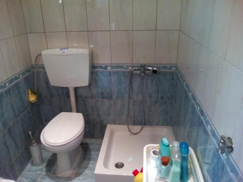 Koupelna v ubytování Villa Anta
