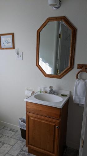 a bathroom with a sink and a mirror at Apple Place Room #1 in Miramonte