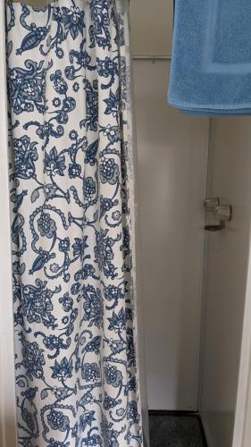 a blue and white shower curtain in a bathroom at Apple Place Room #1 in Miramonte
