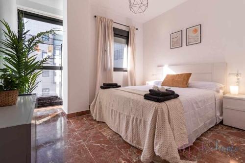 Un dormitorio blanco con una cama y una planta en Dos dormitorios nuevo pleno centro con garaje, en Huelva