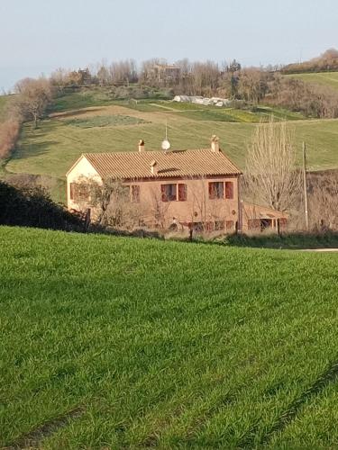 a house in the middle of a green field at Casale Il Girasole in San Costanzo