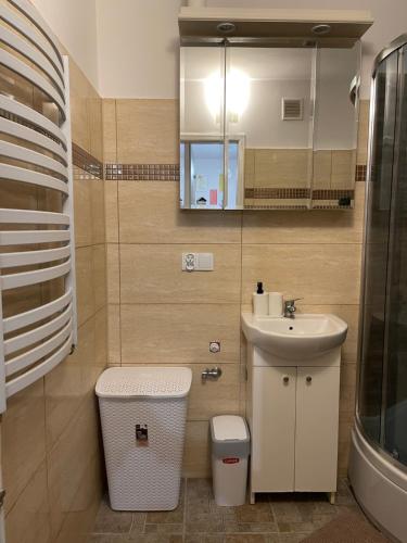 Ένα μπάνιο στο Carmen Apartments4u - Pomorska 82