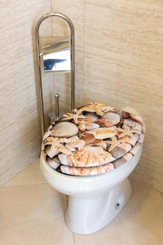 a toilet with shells on it in a bathroom at La Necussella in Anacapri