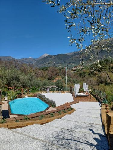 a swimming pool in a yard with two chairs at Villa Daniela in Camaiore