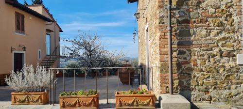 Agriturismo Il Pintello – Photos 4