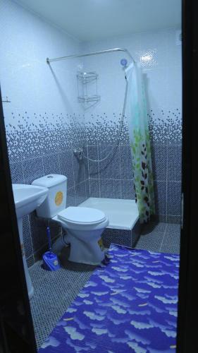 a bathroom with a toilet and a shower at MIRONSHOX GuEST HOUSE in Khiva