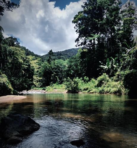 a body of water with trees and a river at Mount Crest Inn Deniyaya in Deniyaya
