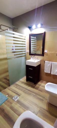 a bathroom with a sink and a toilet and a mirror at Entrevides, Tupungato, Valle de uco in Tupungato