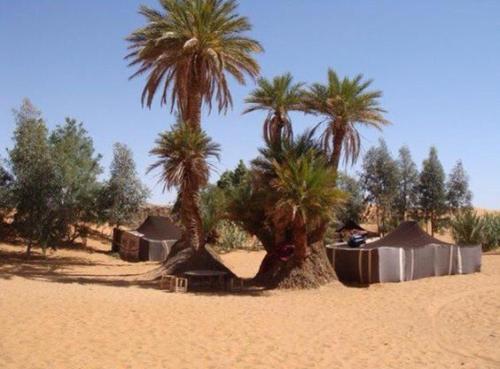 Zdjęcie z galerii obiektu Obira Oasis Merzouga Camp w mieście Merzouga